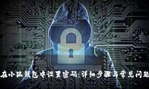 如何在小狐钱包中设置密码：详细步骤与常见问题解答